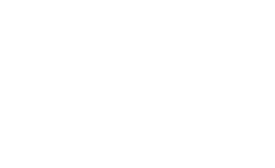 Ayo Holiday